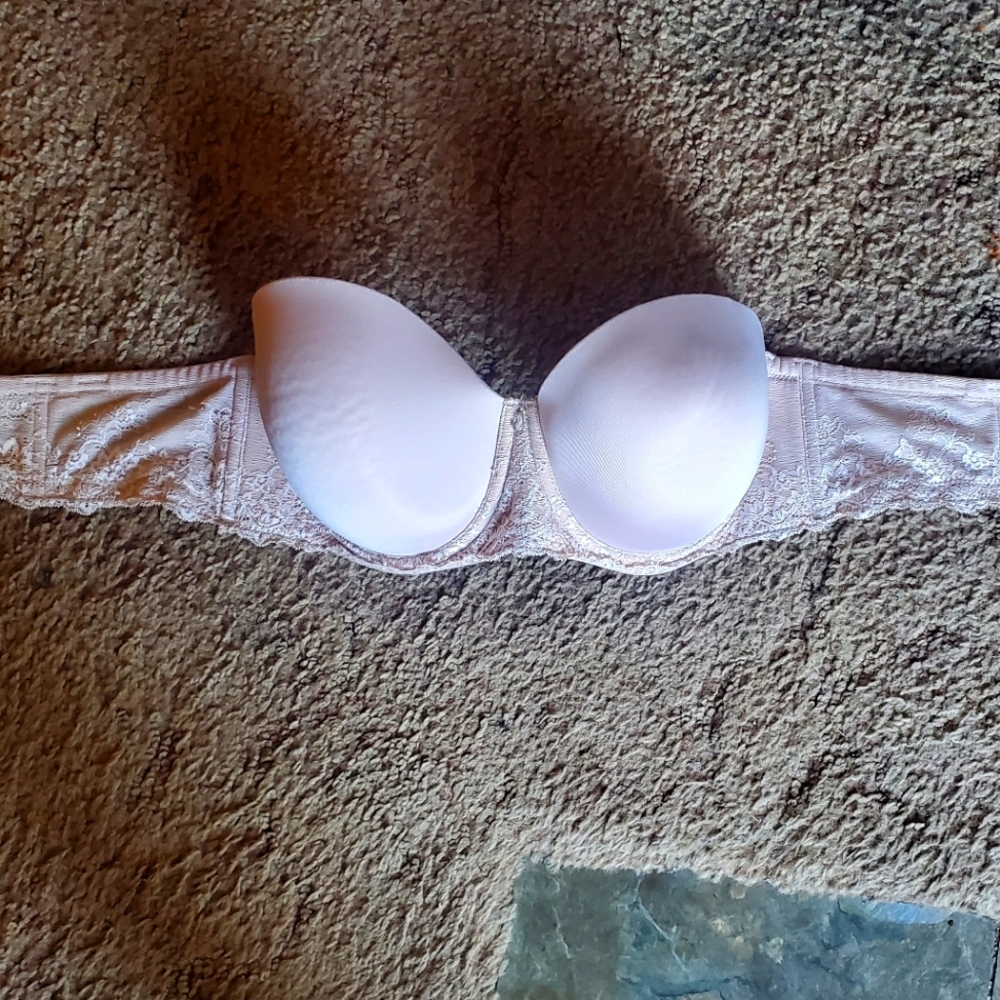 Torrid Bra